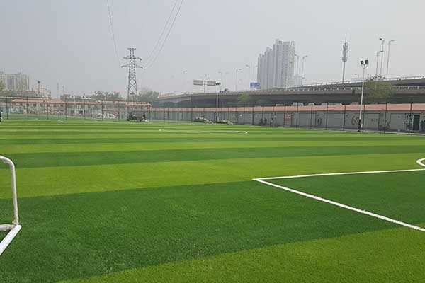 天津市名家足球場人造草坪